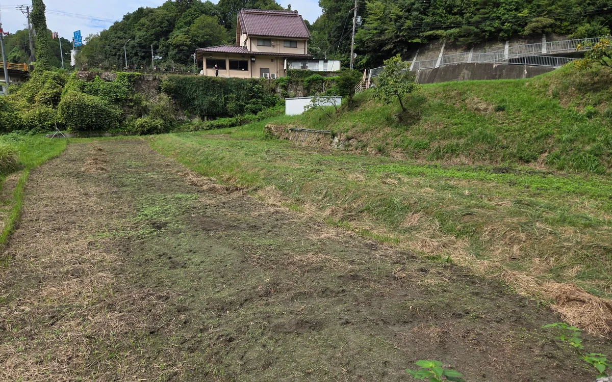 宇陀市「青い家」の農地で農作業ボランティアに参加しました