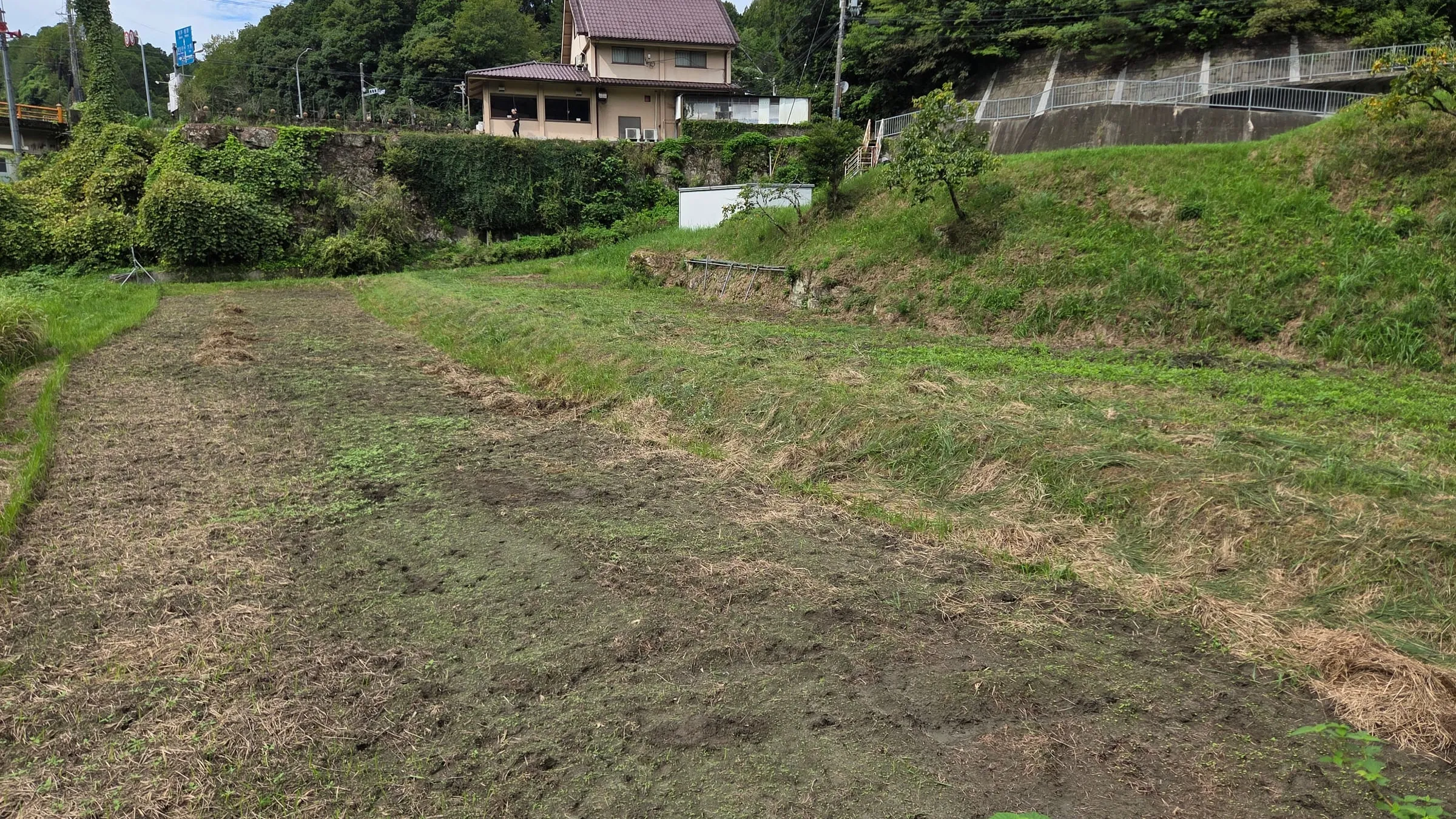 草を刈り整えた耕作地と、その先に広がる奈良の里山の集落