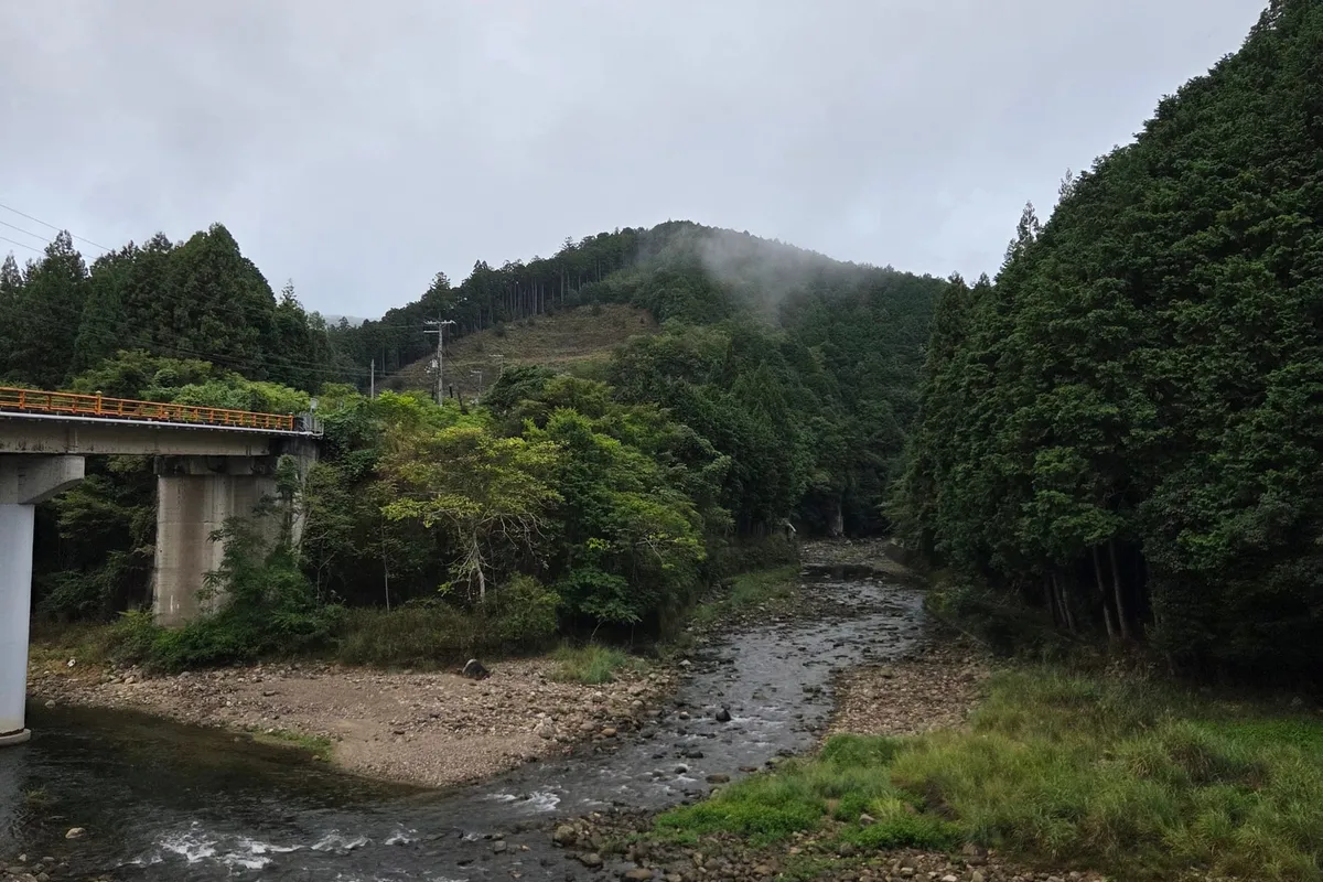 奈良の里山を流れる川と杉林